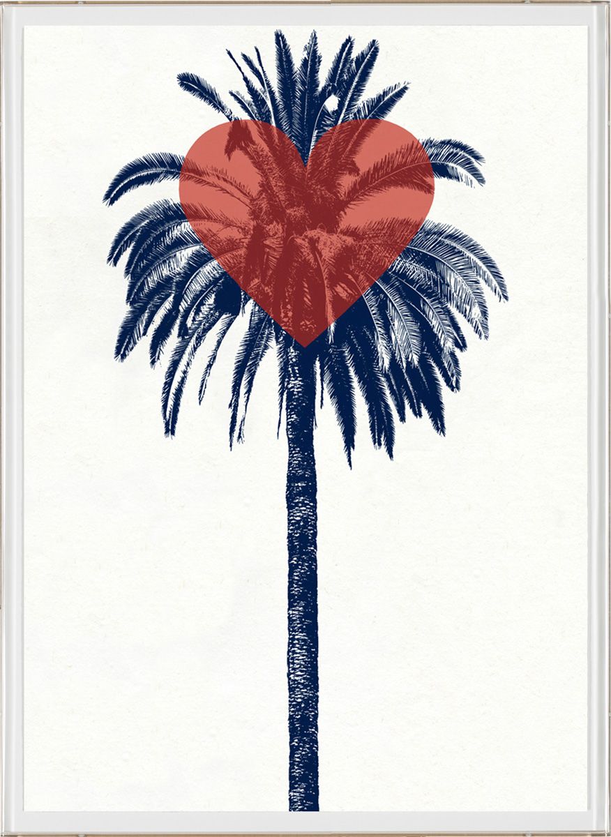 Natural Curiosities Palm Springs Collection Art Prints
