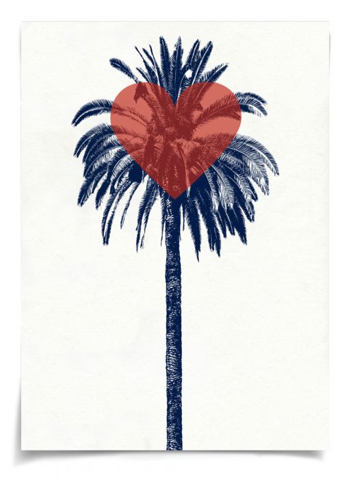 Natural Curiosities Palm Springs Collection Art Prints