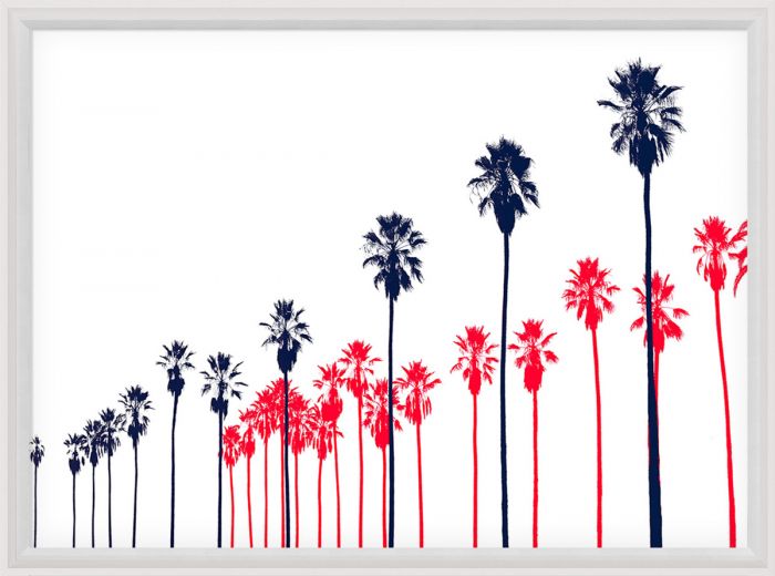 Natural Curiosities Palm Springs Collection Art Prints