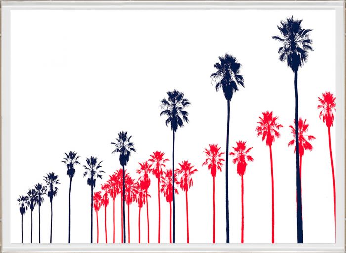 Natural Curiosities Palm Springs Collection Art Prints