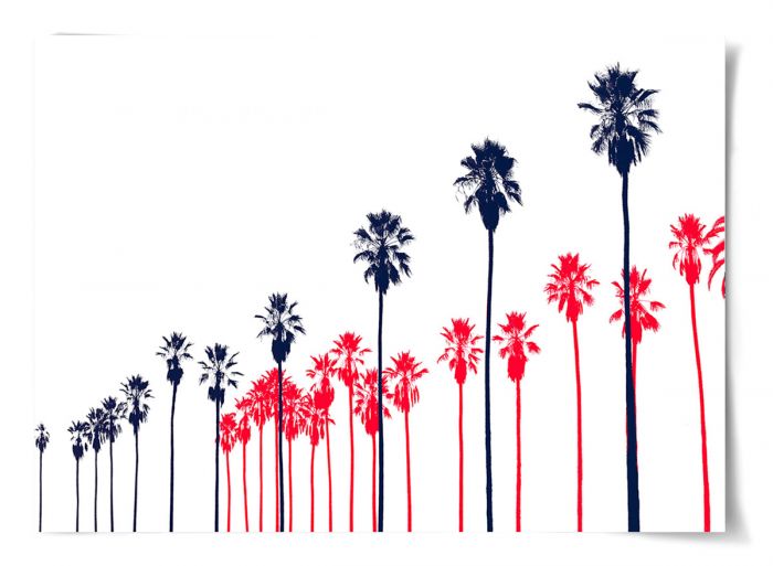 Natural Curiosities Palm Springs Collection Art Prints