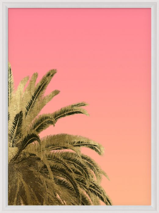 Natural Curiosities Palm Springs Art, Palms Top Diptych 1 & 2