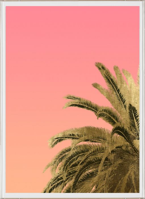 Natural Curiosities Palm Springs Art, Palms Top Diptych 1 & 2