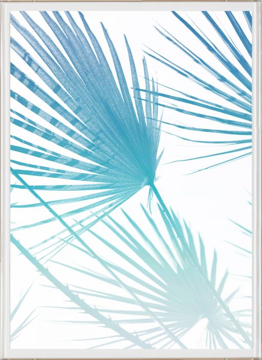 Natural Curiosities Palm Springs Collection Art Prints