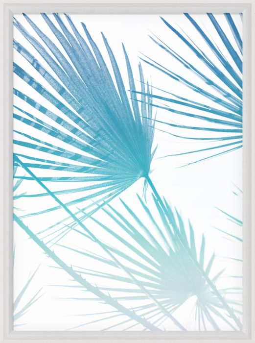 Natural Curiosities Palm Springs Collection Art Prints