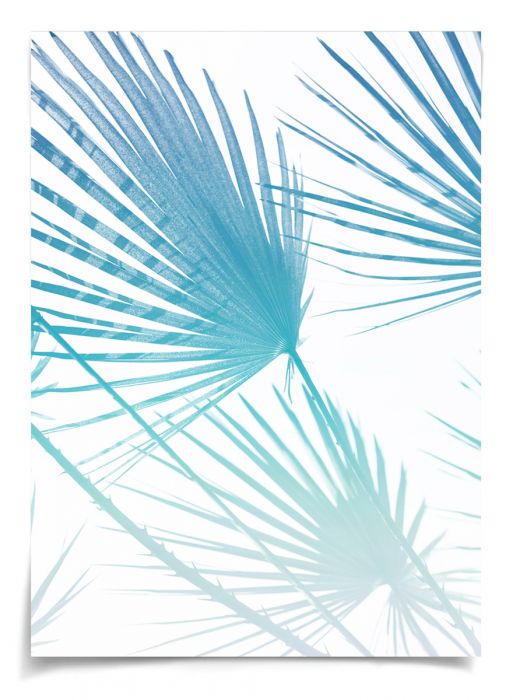 Natural Curiosities Palm Springs Collection Art Prints