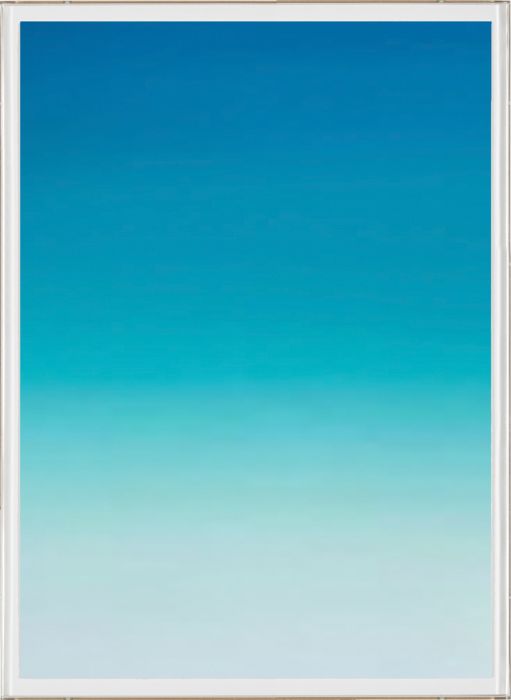 Natural Curiosities Palm Springs Collection Art Prints