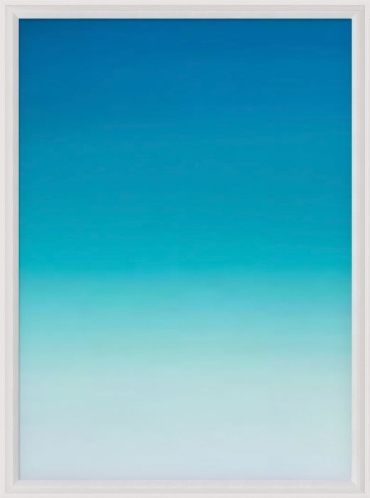 Natural Curiosities Palm Springs Collection Art Prints