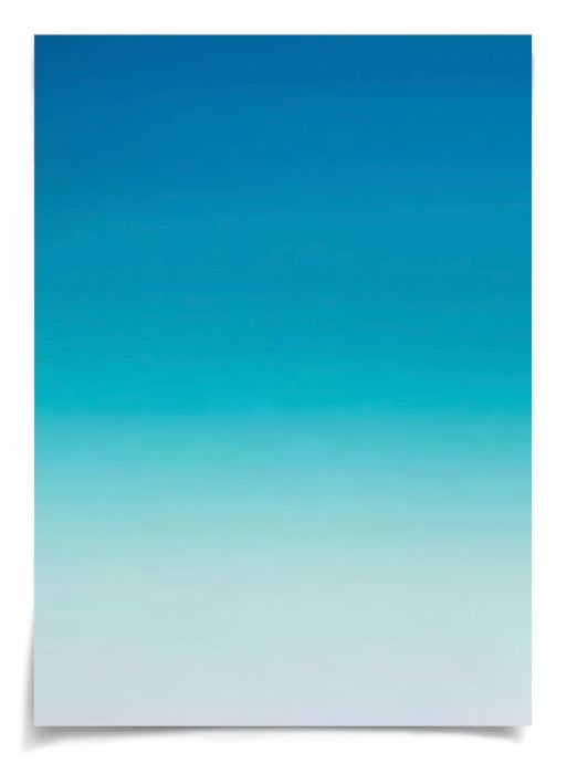 Natural Curiosities Palm Springs Collection Art Prints