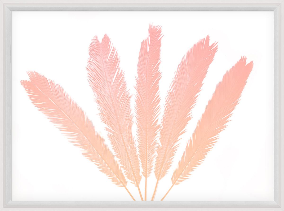 Natural Curiosities Palm Springs Collection Art Prints