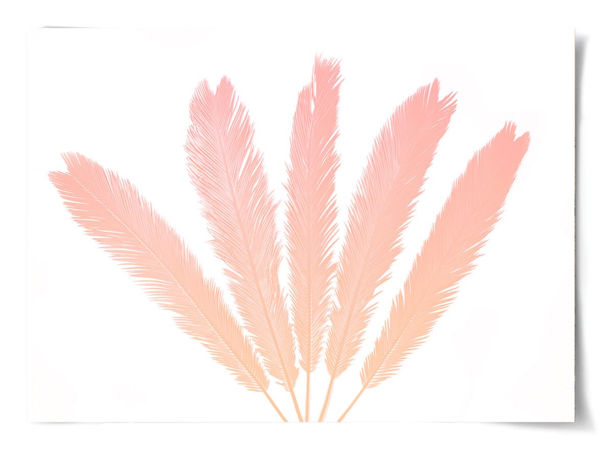 Natural Curiosities Palm Springs Collection Art Prints