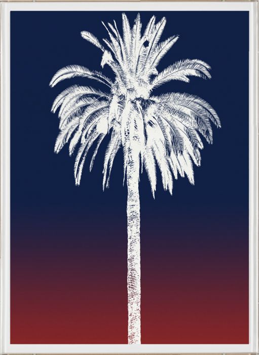 Natural Curiosities Palm Springs Collection Art Prints