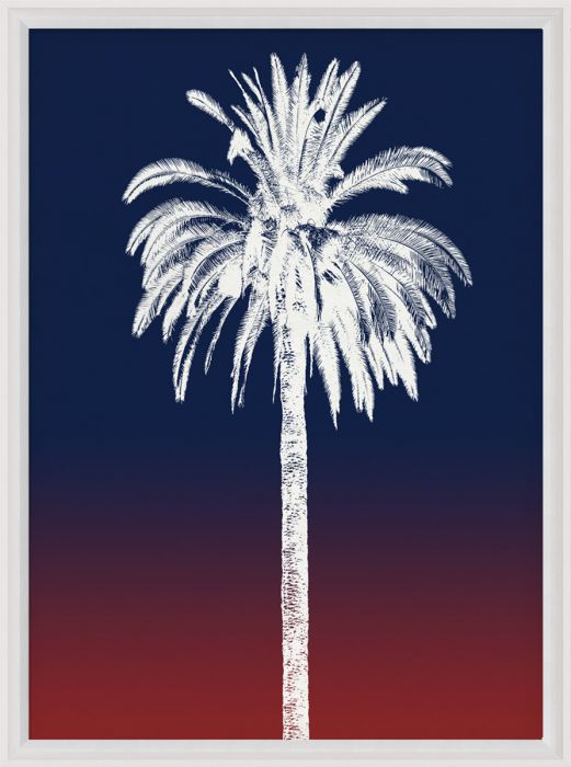 Natural Curiosities Palm Springs Collection Art Prints