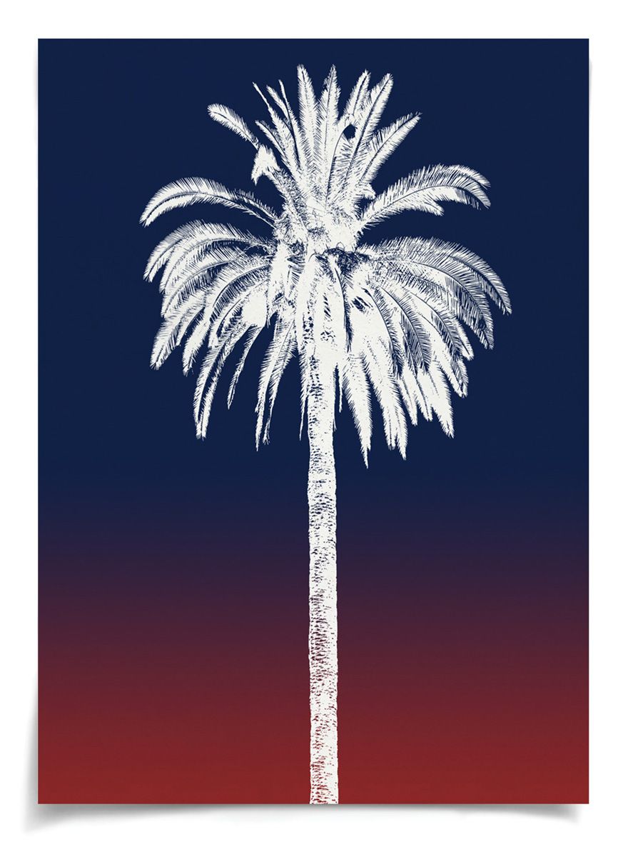 Natural Curiosities Palm Springs Collection Art Prints