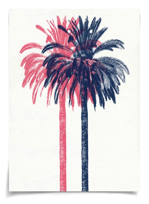 Natural Curiosities Palm Springs Collection Art Prints