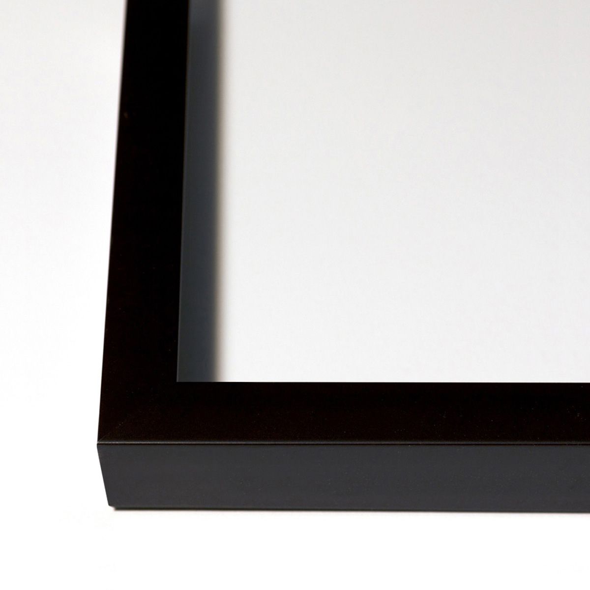 David Ritchie Collection Art by Natural Curiosities