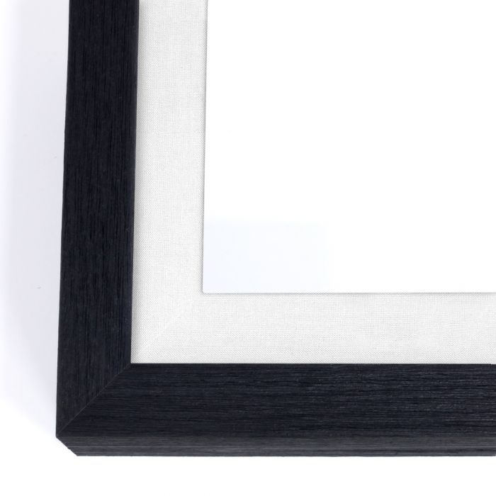 Natural Curiosities Botanical Study Art Series 1-3