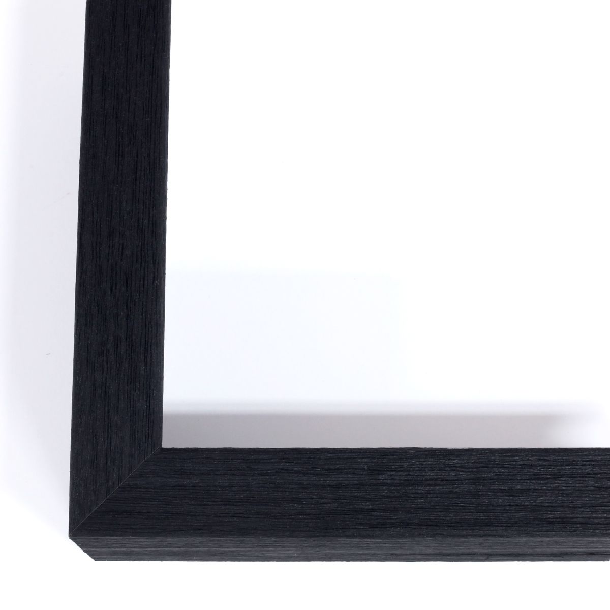 Natural Curiosities Abstract Puzzle Art