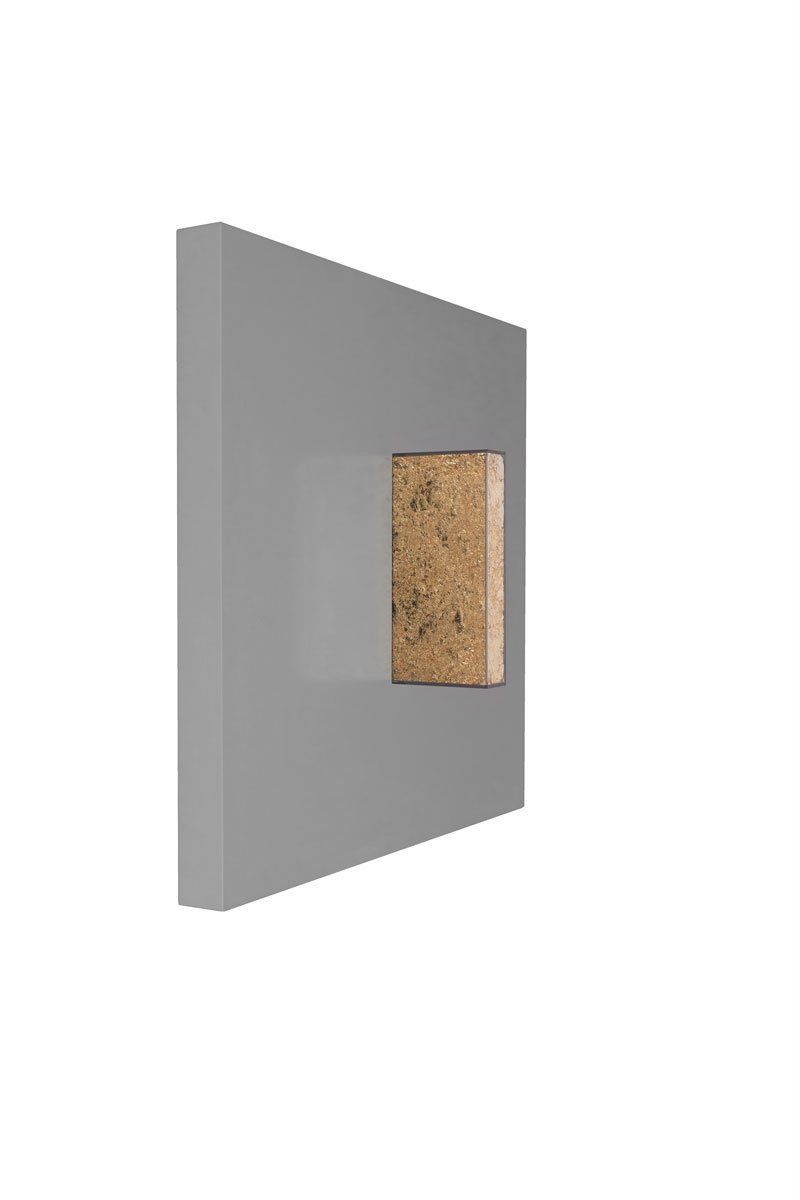 Gold Mind in Gray Art by Natural Curiosities