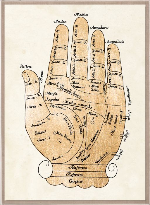 Natural Curiosities Gallicus Hands Gold Leaf Art