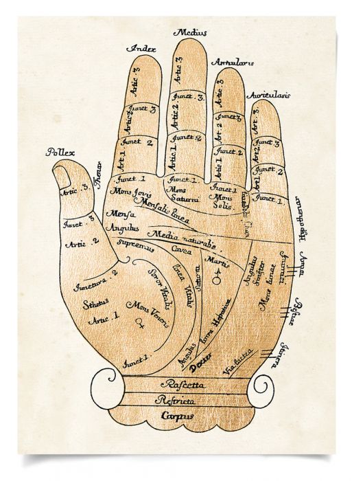 Natural Curiosities Gallicus Hands Gold Leaf Art