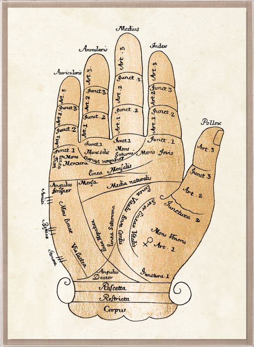 Natural Curiosities Gallicus Hands Gold Leaf Art