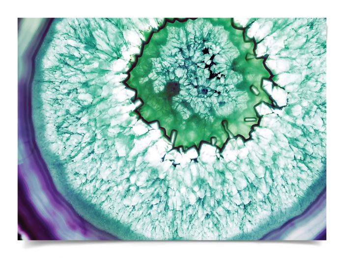 Natural Curiosities Geode Art