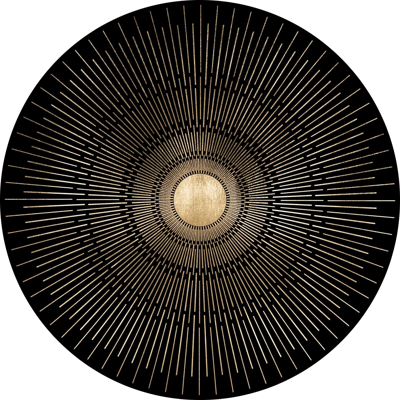 Natural Curiosities Gold Deco Rays Art