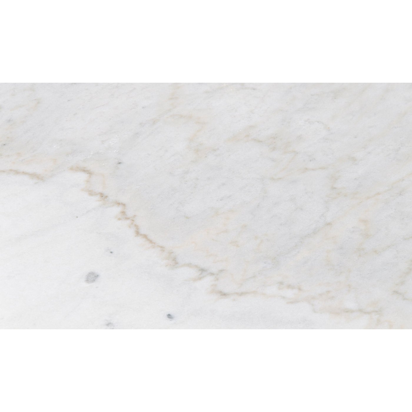 Noir Lois Coffee Table