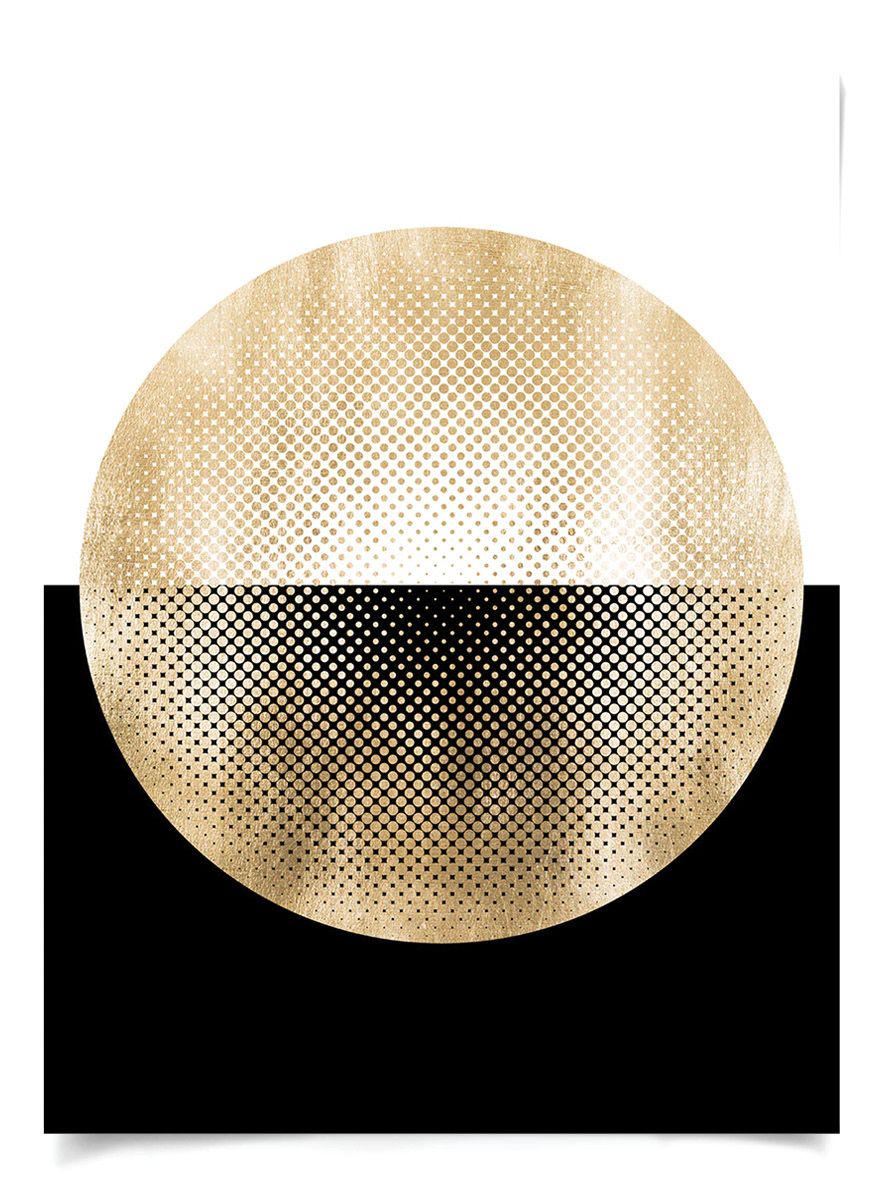 Natural Curiosities Halftone Circles Gold Framed Artwork
