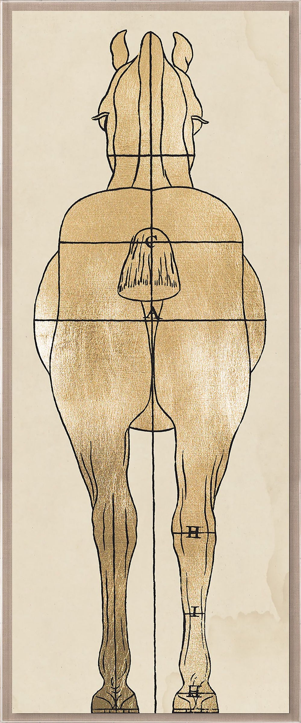 Natural Curiosities Helford House 1 Art