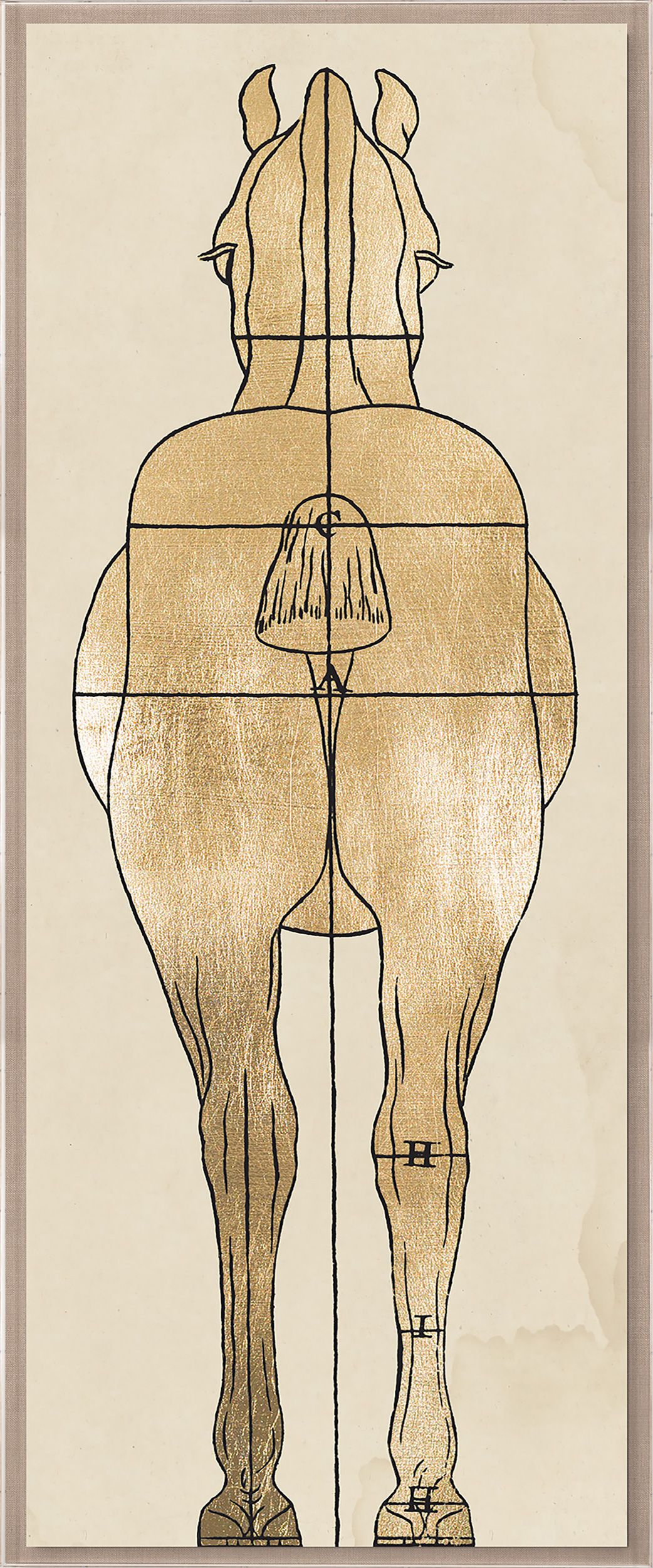 Natural Curiosities Helford House 1 Art