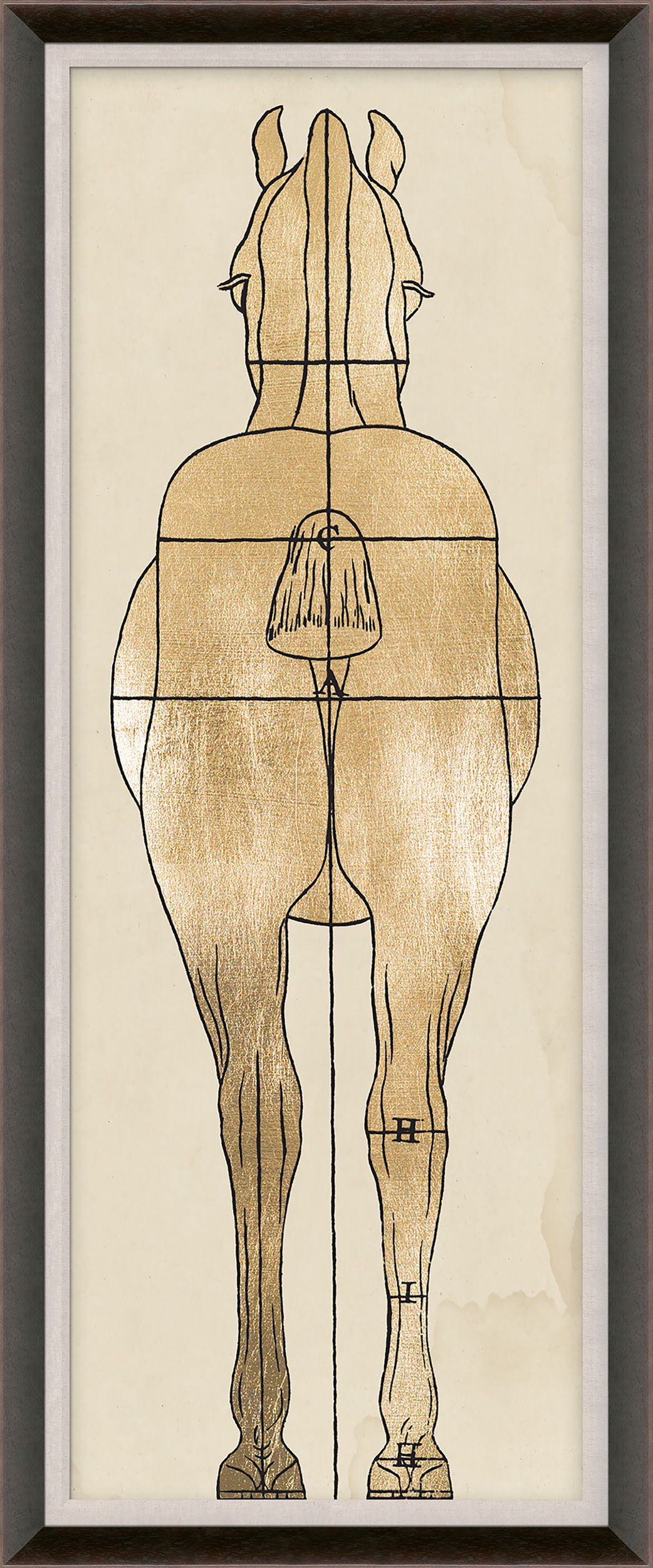 Natural Curiosities Helford House 1 Art