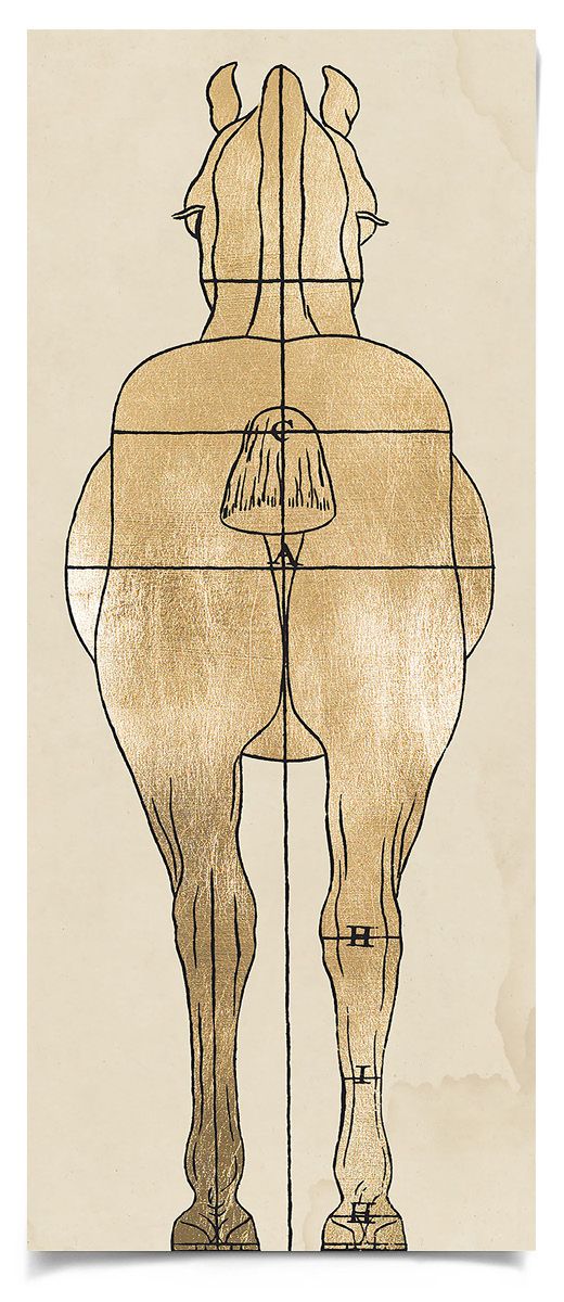 Natural Curiosities Helford House 1 Art