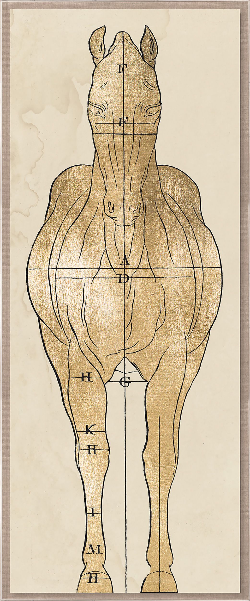 Natural Curiosities Helford House 2 Art