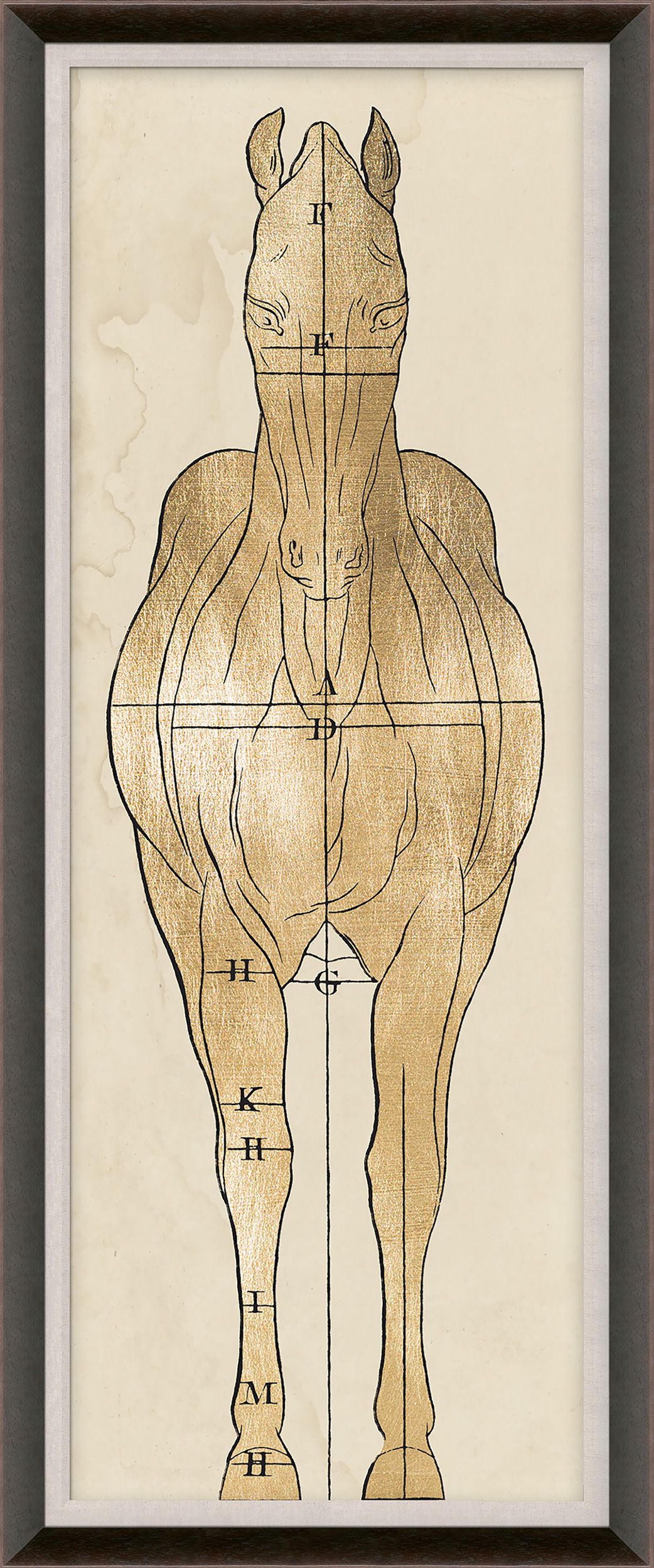 Natural Curiosities Helford House 2 Art