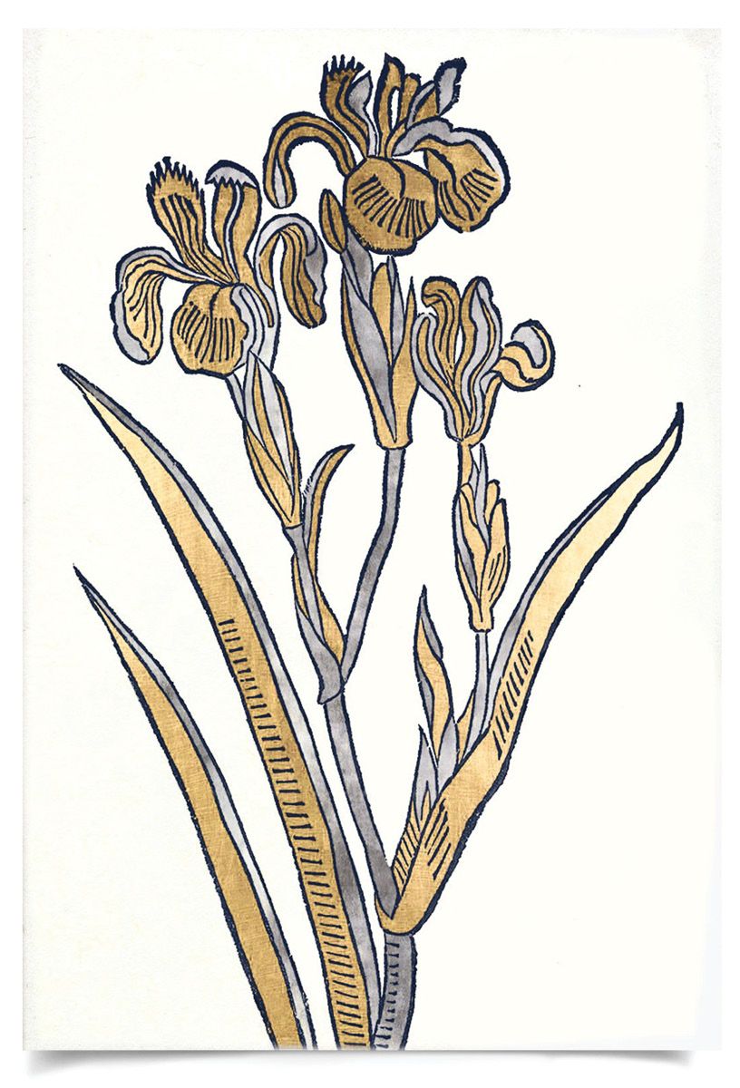 Natural Curiosities Historical Botanicals Series No.2, No. 1