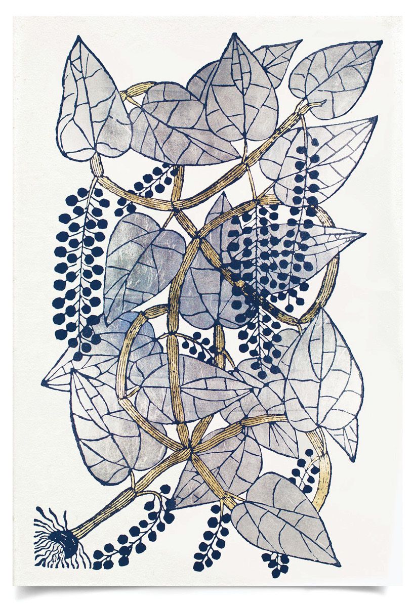 Natural Curiosities Historical Botanicals Art Series 2, No. 2