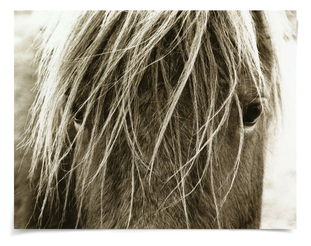 Natural Curiosities Hyden Horses Blonde
