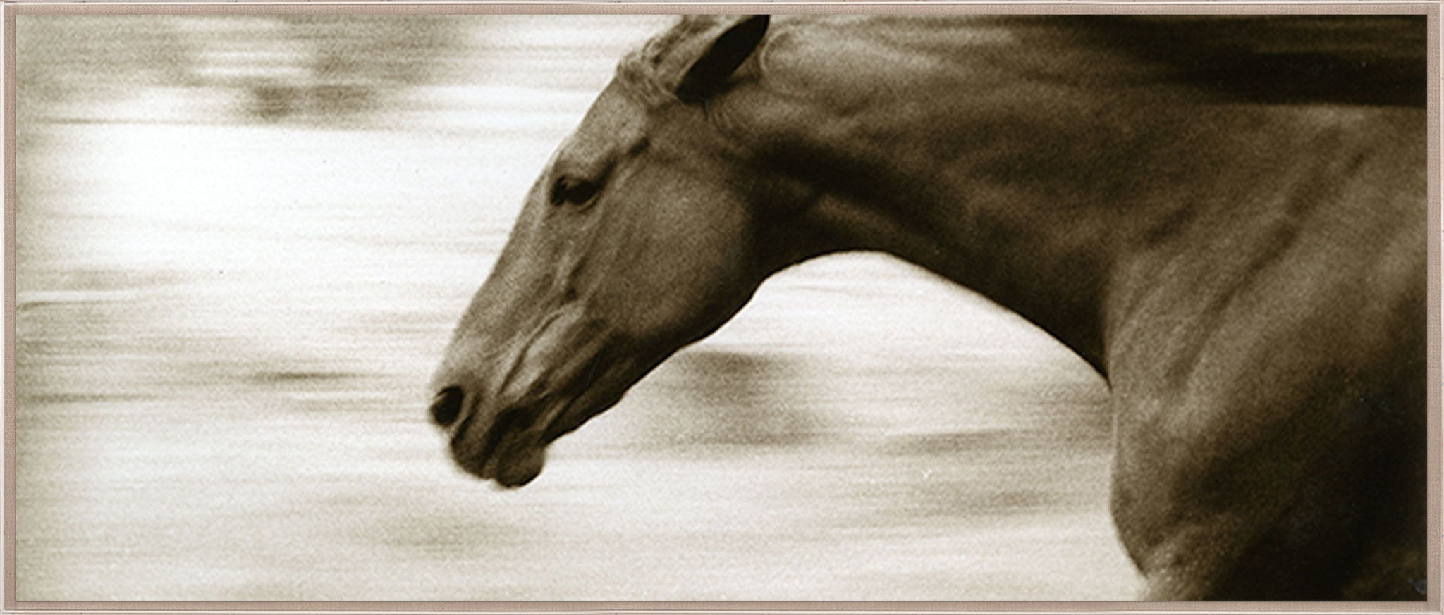 Natural Curiosities Hyden Horses: Gallop Art