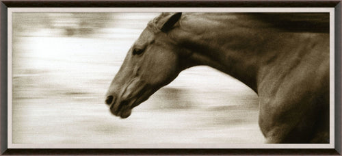 Natural Curiosities Hyden Horses: Gallop Art