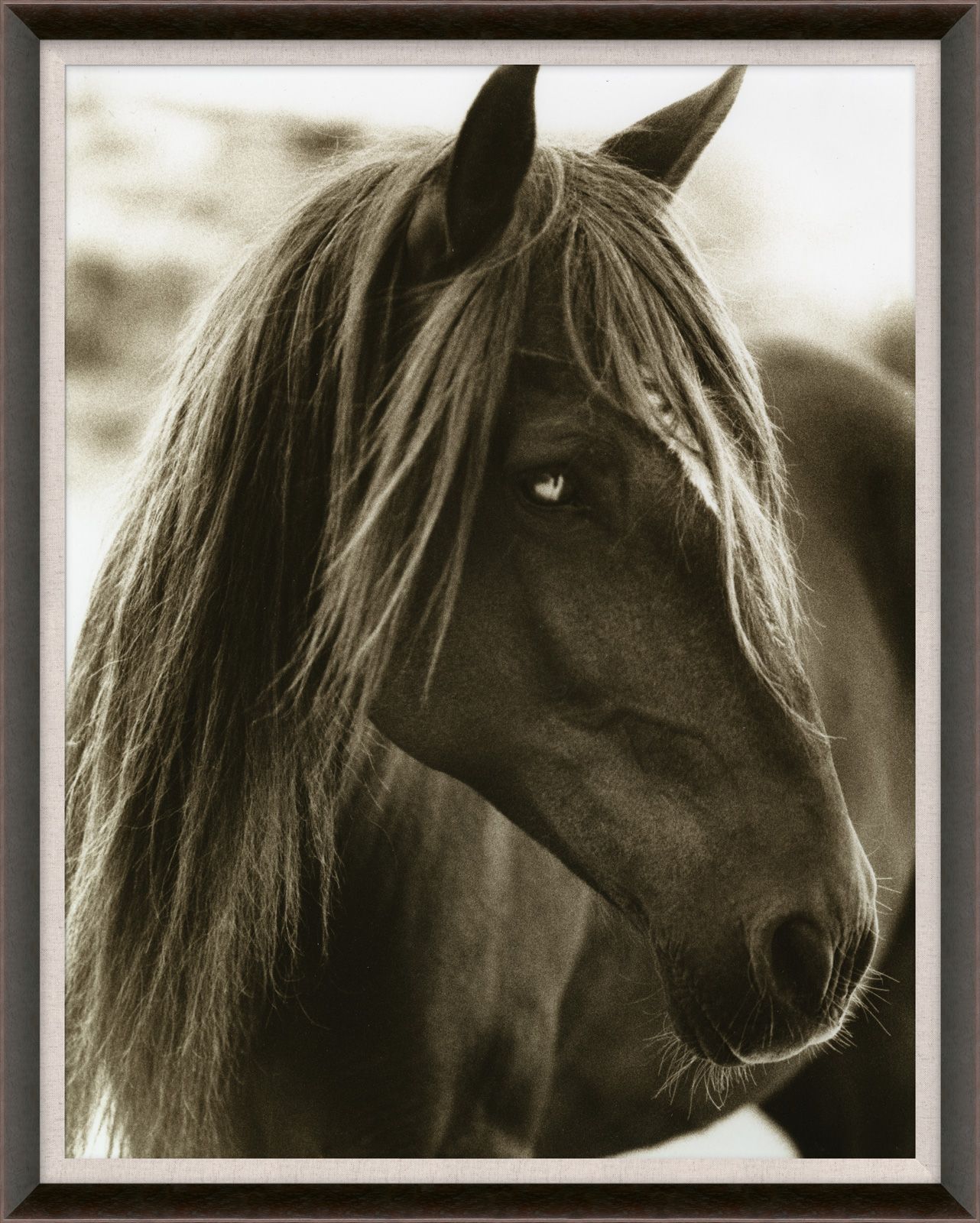 Natural Curiosities Hyden Horses Pensive Art