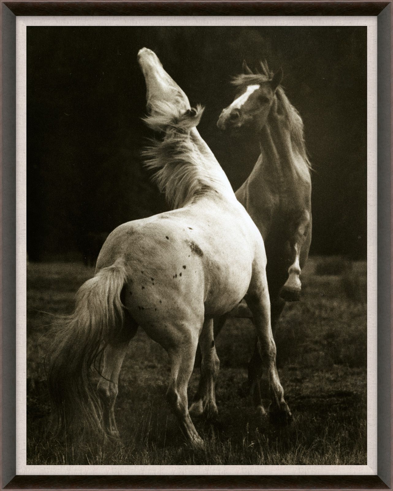 Natural Curiosities Hyden Horses Playing Pair Art