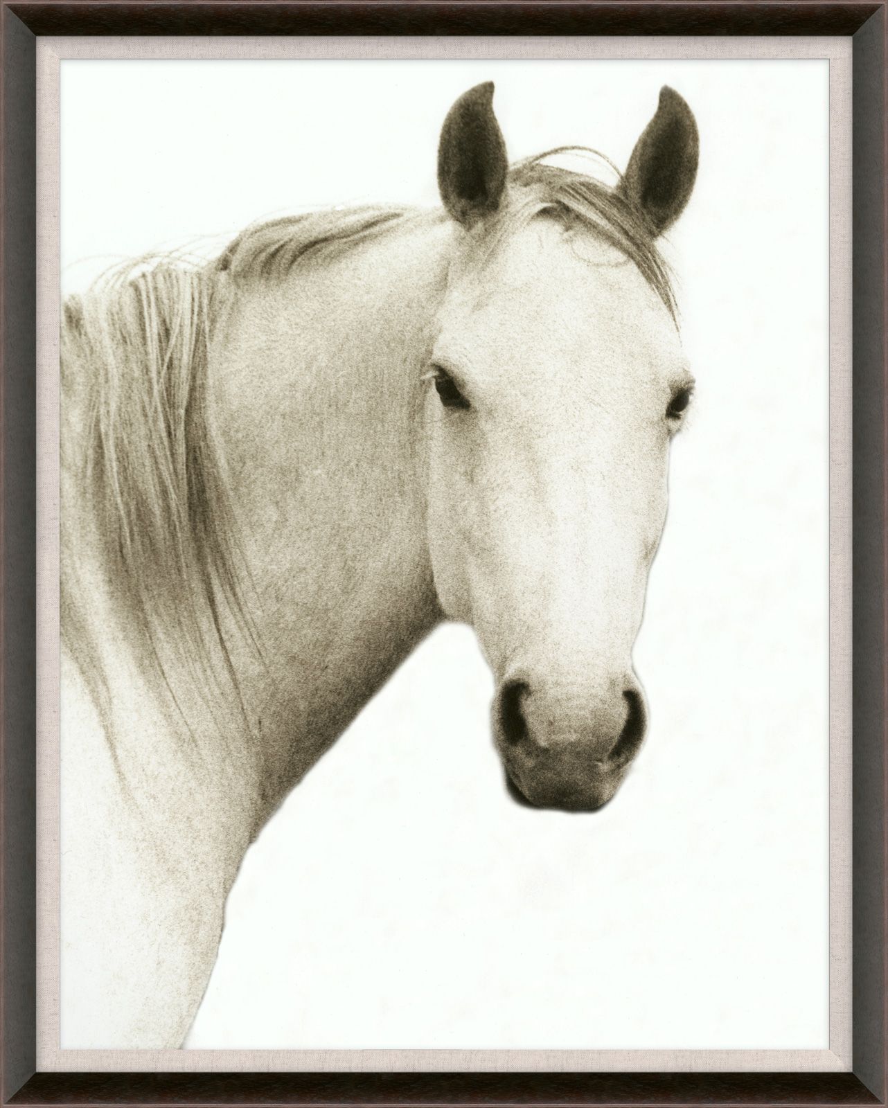 Natural Curiosities Hyden Horse Solo