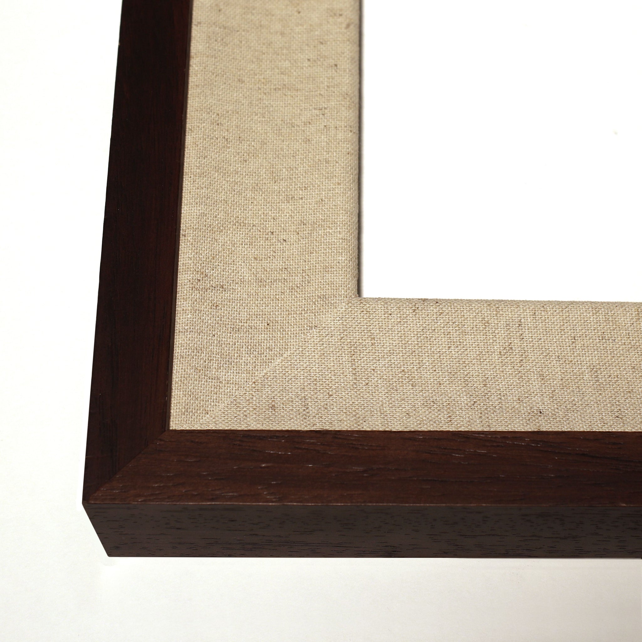 Sieger Tulips 2 Art by Natural Curiosities