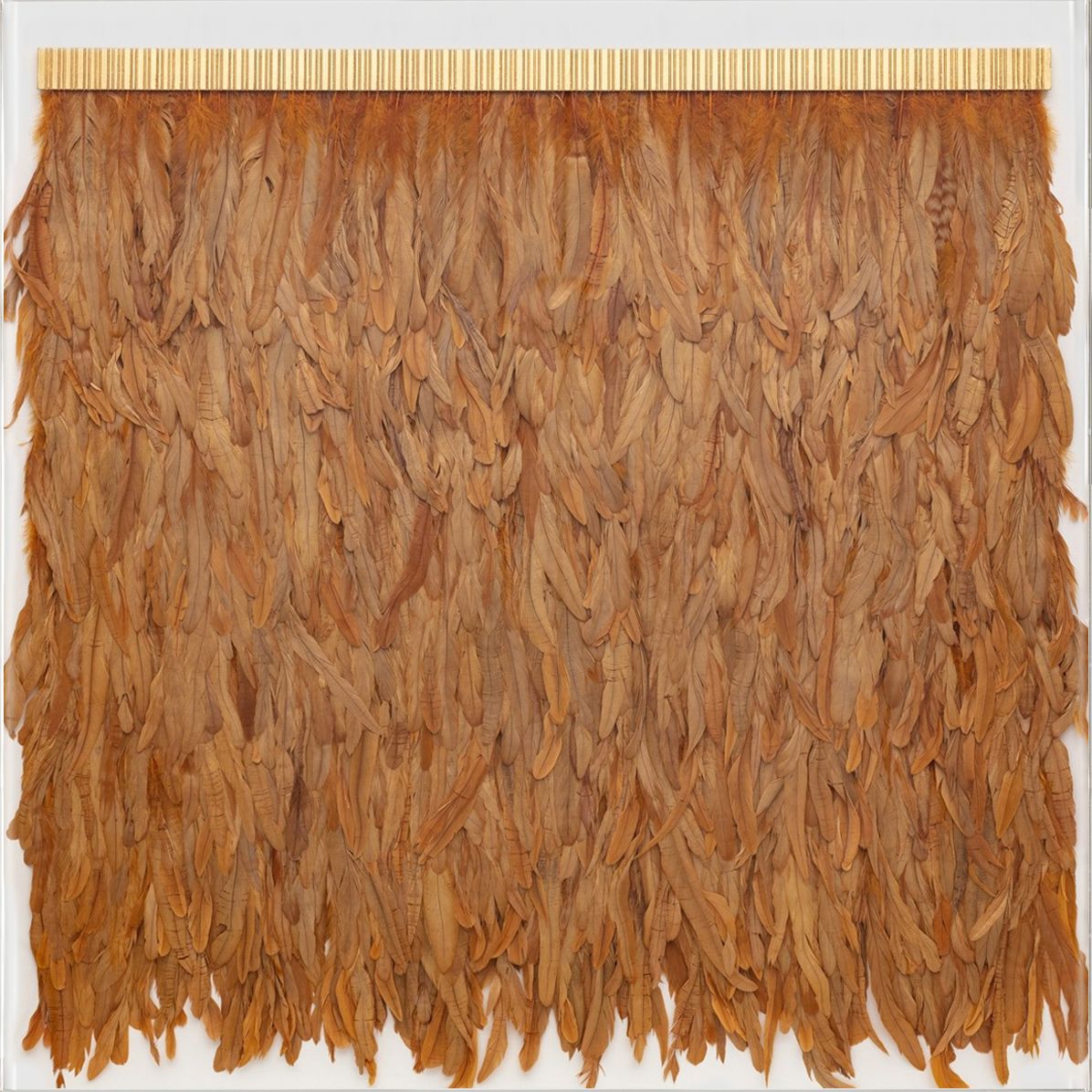 Natural Curiosities Icarus Collection-Marigold