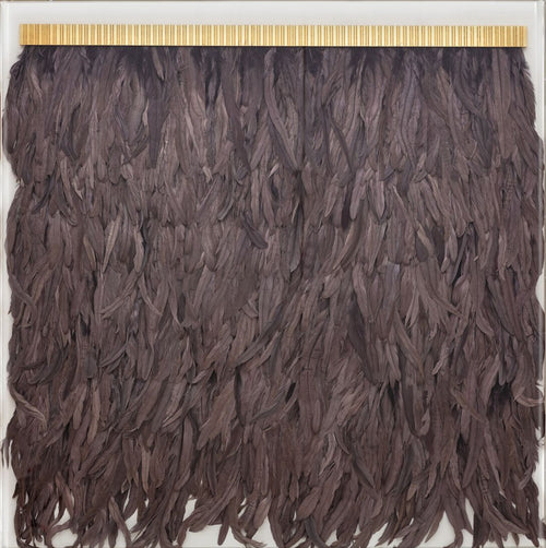 Natural Curiosities Slate Feathers, Icarus Collection