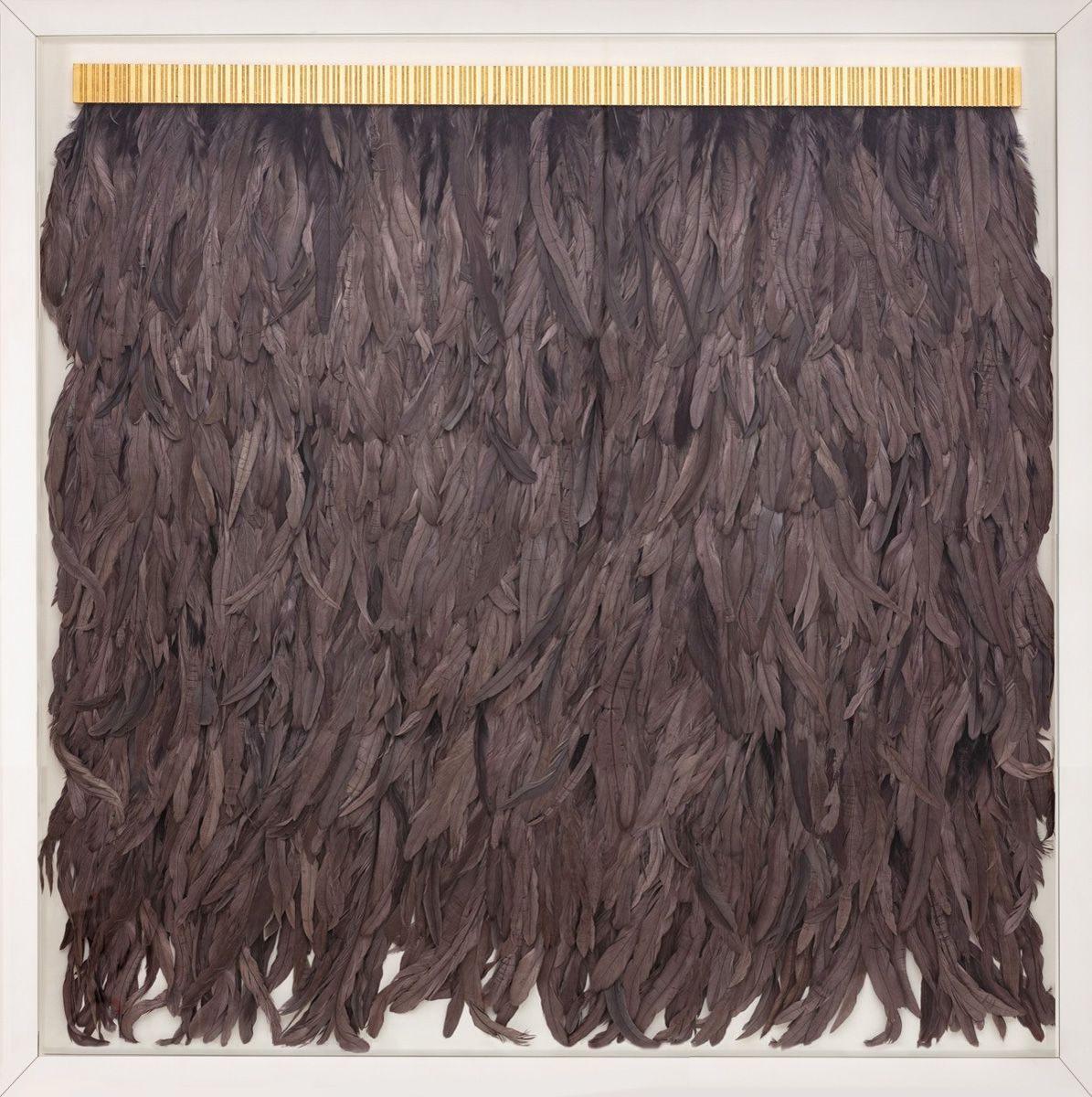 Natural Curiosities Slate Feathers, Icarus Collection