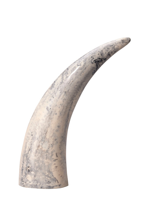 Jamie Young Varigated Horn Decorative Objects