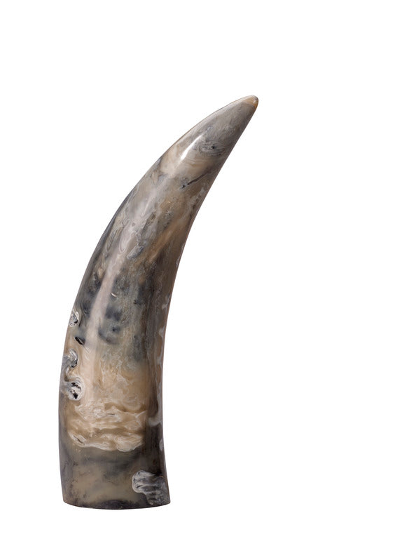 Jamie Young Varigated Horn Decorative Objects